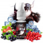 Ragnarok 10ml