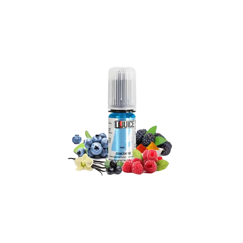 Concentré Forest Affair 10 ml - T Juice