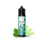 Menthe Chlorophyle 40ml - Protect